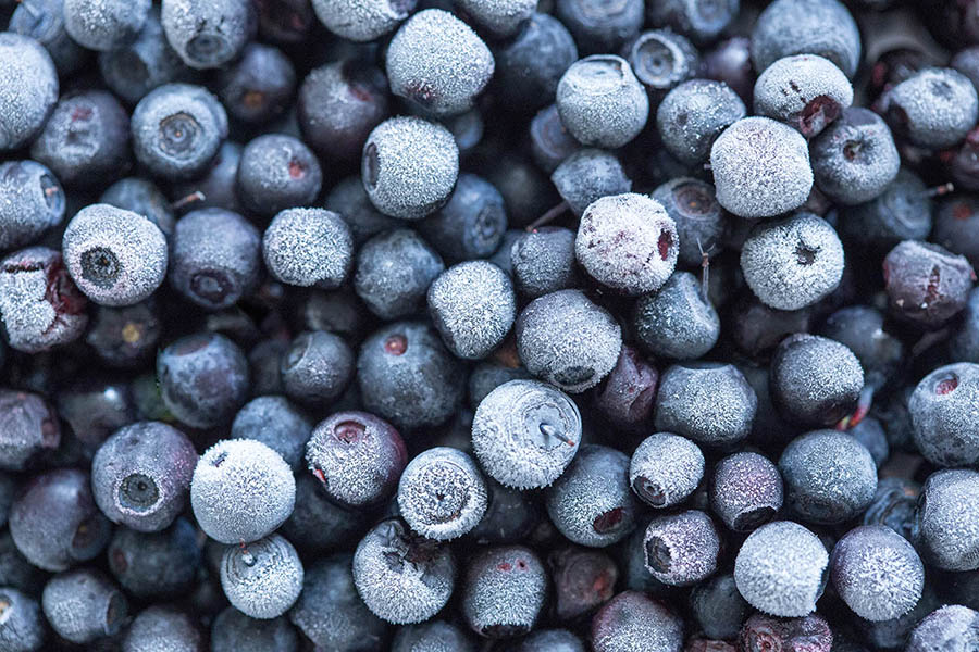 <span>Travel</span>Frozen Berries <i>of</i> Sugarland